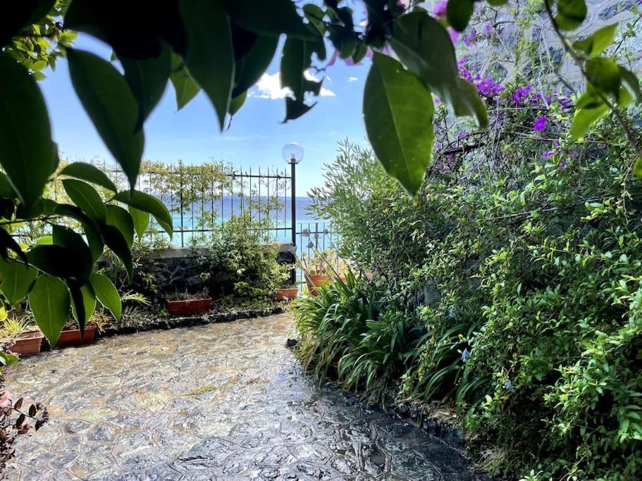 Ocean View Villa With Fast Wi-Fi And Elevator To Town Levanto Luaran gambar